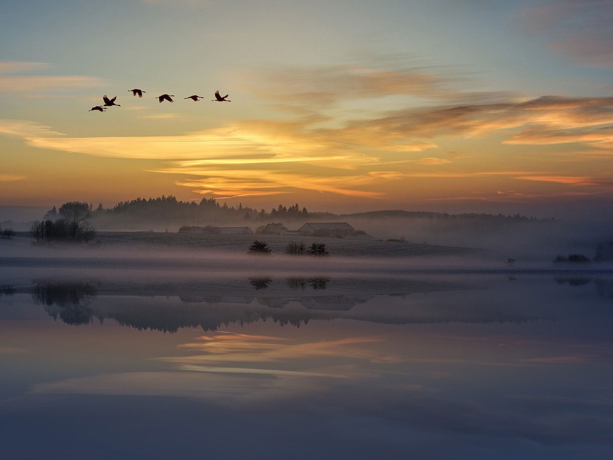See im Nebel bei Sonnenaufgang