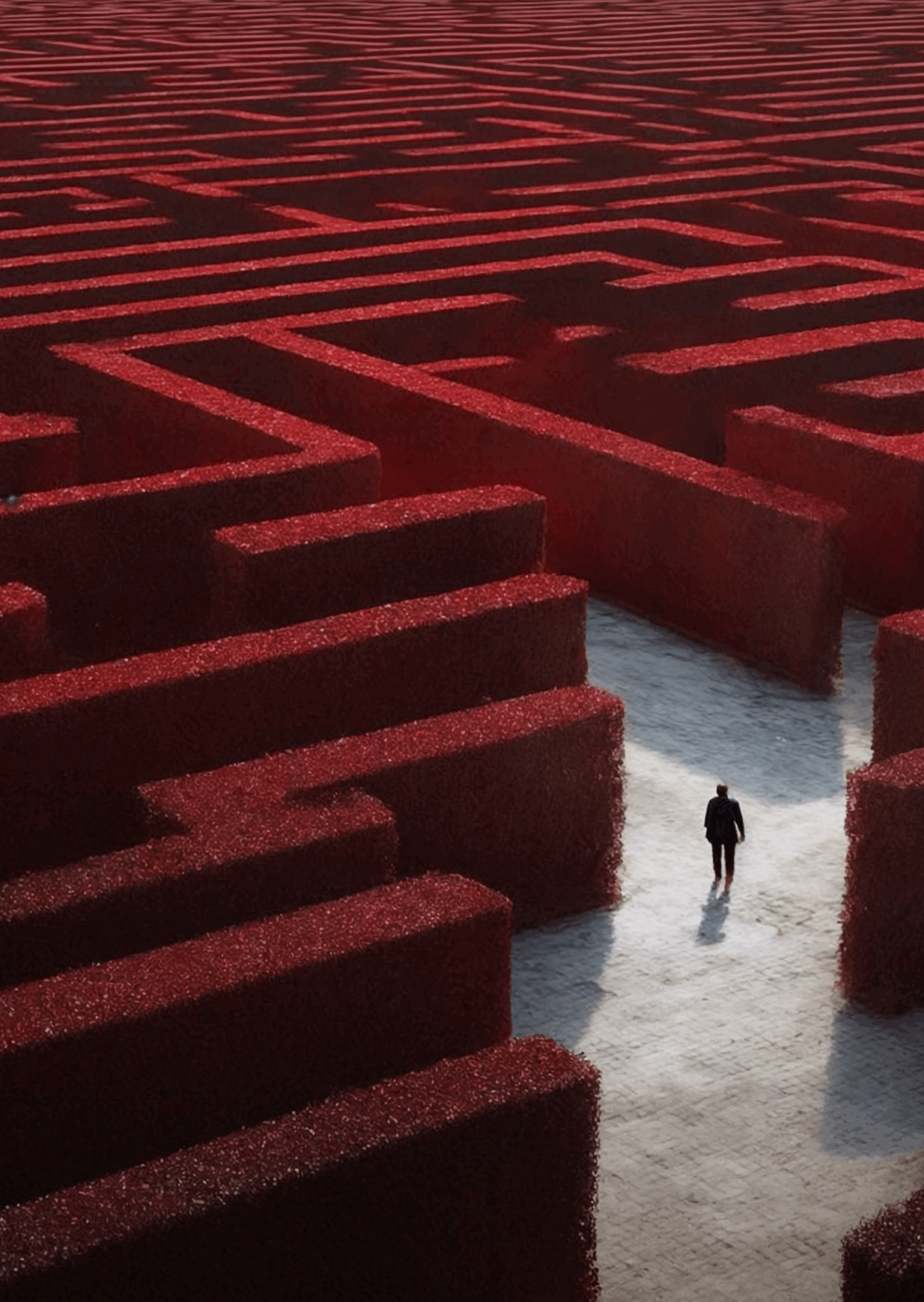 Perdon steht ratlos in einem Labyrinth
