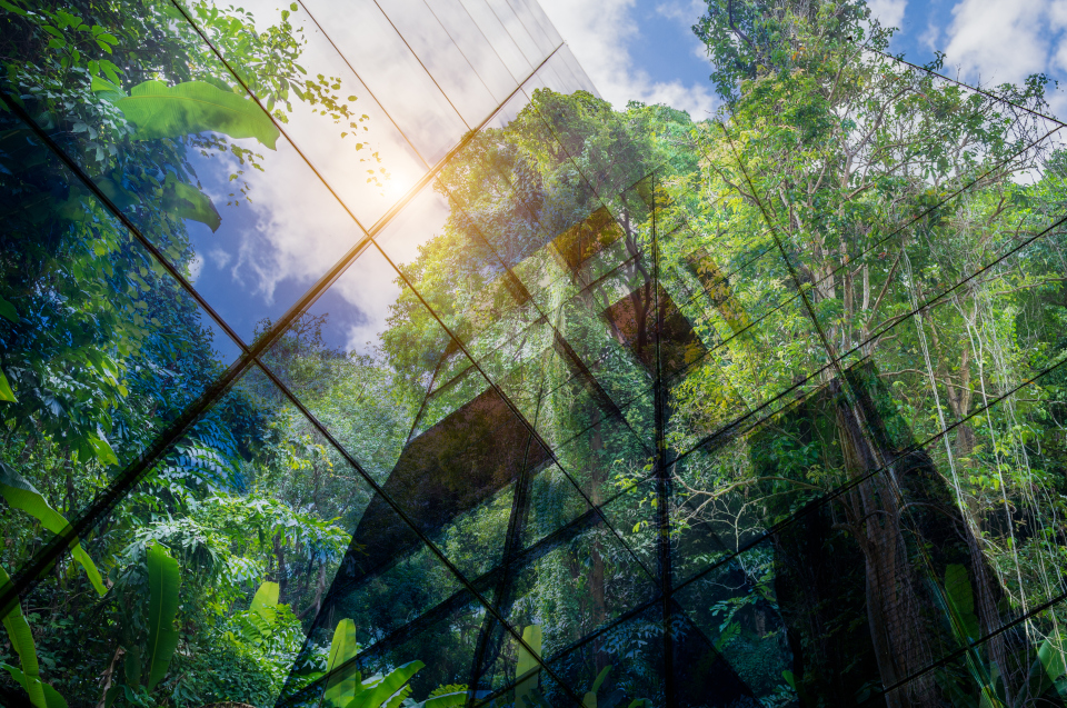 Imagebild eines Hochhauses mit Wald